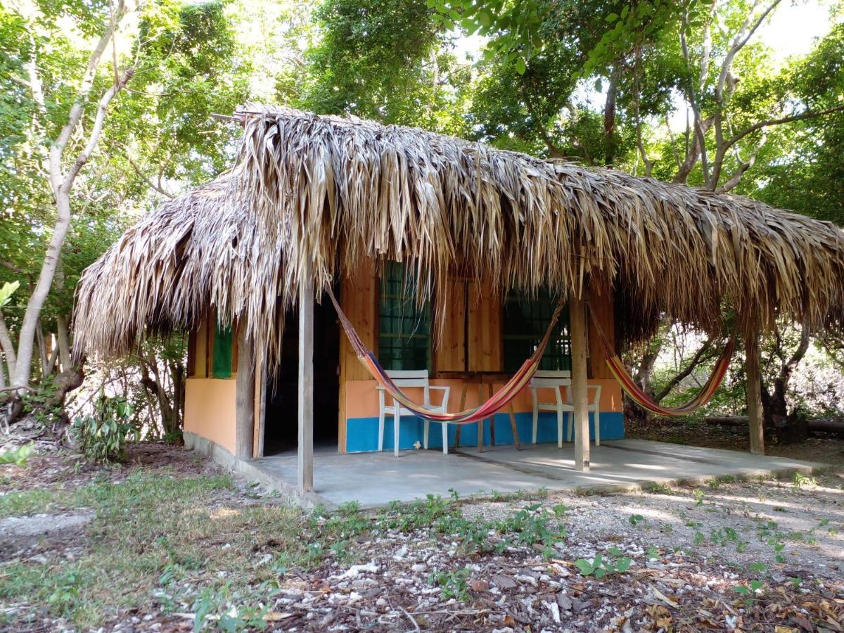 Ecohotel Arte Y Aventura Isla Grande  Exteriér fotografie