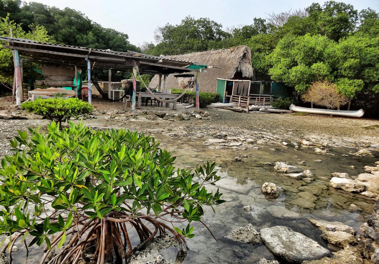 Ecohotel Arte Y Aventura Isla Grande  Exteriér fotografie