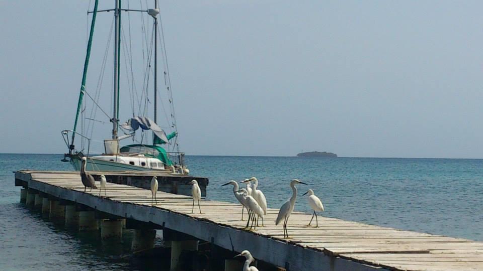 Ecohotel Arte Y Aventura Isla Grande  Exteriér fotografie