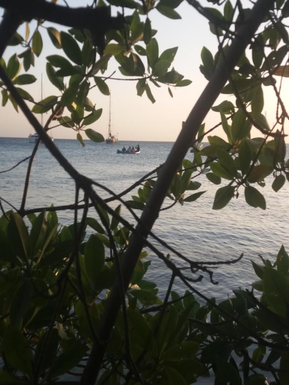 Ecohotel Arte Y Aventura Isla Grande  Exteriér fotografie