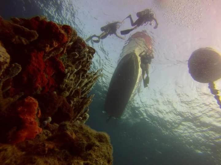 Ecohotel Arte Y Aventura Isla Grande  Exteriér fotografie